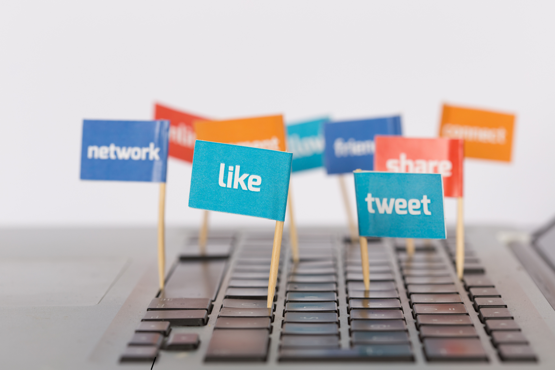 social media screening